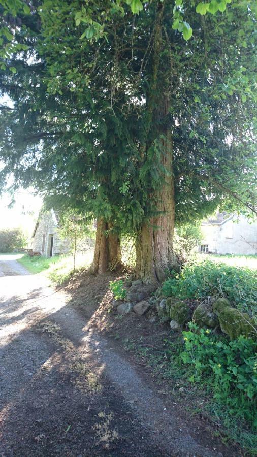 Ferme De La Grange Du Bas Saint-Bresson